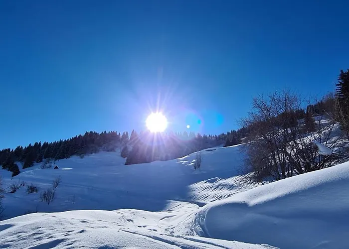 Bed & Breakfast Chesa Prema - Restaurant Disentis