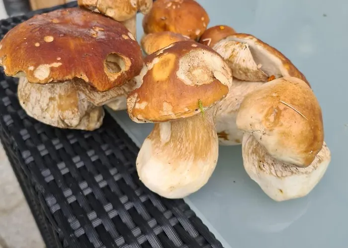 Chesa Prema - Restaurant