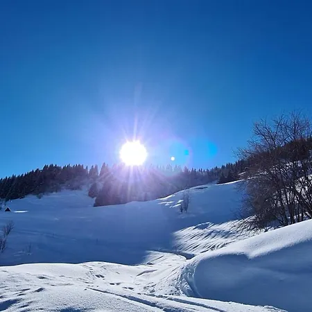 לינה וארוחת בוקר Chesa Prema - Restaurant דיסנטיס