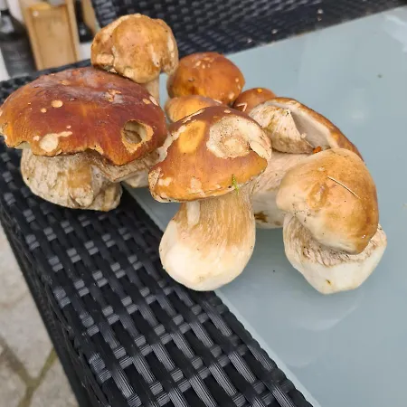 Chesa Prema - Restaurant