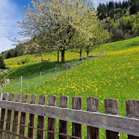 Chesa Prema - Restaurant