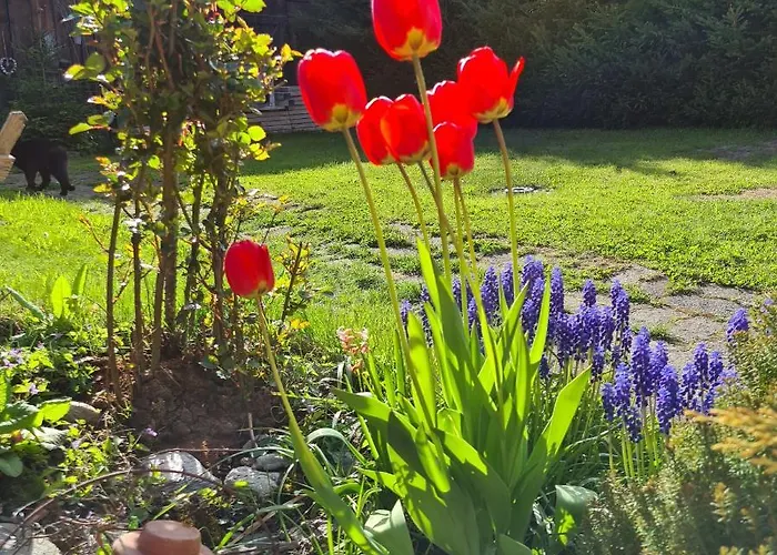 Chesa Prema - Restaurant 3*